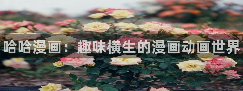虫虫漫画怎么免费看：哈哈漫画：趣味横生的漫画动画世界