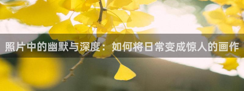 虫虫漫画免费漫画弹窗入：照片中的幽默与深度：如何将日常变成惊人的画作